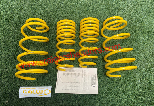 Gold-Line Lowering Springs GPS-0606 Lowering Springs 2000 Nissan Sentra SE-R Spec V