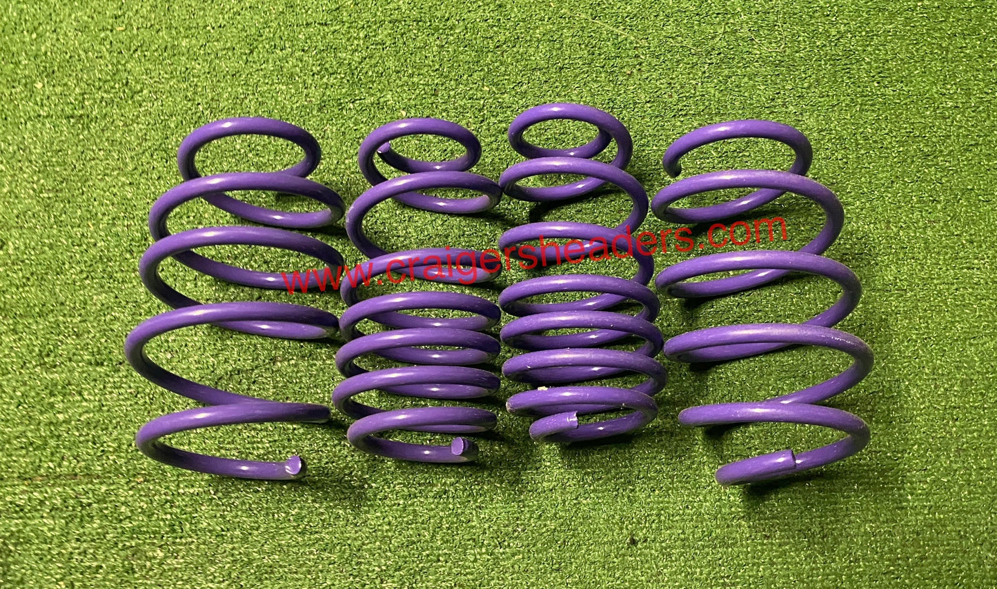 D2 Racing SP Series Lowering Springs - 2014-2016 Honda Civic