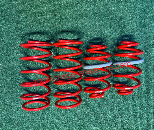 Tanabe Lowering Springs Sustec NF210 Versa 2007-2011 TNF123