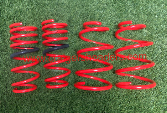 Tanabe TDF055 Lowering Springs 2002-2005 Nissan Sentra SE-R